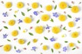 Floral pattern made of yellow dandelion, lilac flowers, pink buds and green leaves isolated on white background. Flat lay. Royalty Free Stock Photo