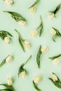 Floral pattern made of yellow tulip on green background. Flat lay, top view. Valentine's background. Floral pattern Royalty Free Stock Photo