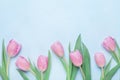 Floral pattern for March 8, International Womans or Mothers day. Beautiful spring tulip flowers. Top view. Royalty Free Stock Photo