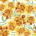 Floral pattern with marigolds Patula, Tagetes.
