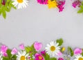 Floral pattern with meadow flowers for tea daisy flowers leaves and petals on gray white background. Flower pattern flat Royalty Free Stock Photo