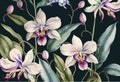 Floral pattern orchid art artistic background