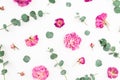 Floral pattern of pink flowers and eucalyptus branches on white background. Flat lay, top view. Valentines day background Royalty Free Stock Photo