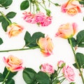 Floral pattern with pink and orange roses, buds and green leaves on white background. Flat lay, top view. Spring background Royalty Free Stock Photo