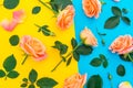 Floral pattern with pink and orange roses, buds and green leaves on yellow and blue background. Flat lay, top view. Spring backgro Royalty Free Stock Photo