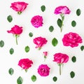 Floral pattern with pink rose flowers and leaves on white background. Flat lay, Top view. Flowers texture. Royalty Free Stock Photo