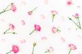 Floral pattern with pink roses buds and petals on white background. Flat lay, Top view. Roses flower texture. Valentines day Royalty Free Stock Photo