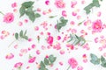 Floral pattern with pink roses flowers and eucalyptus branches on white background. Flat lay Royalty Free Stock Photo