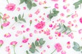 Floral pattern with pink roses flowers and eucalyptus on white background. Flat lay Royalty Free Stock Photo