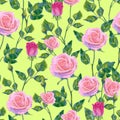 Floral pattern with pink roses on light yellow-green background. Vector seamless pattern with oil or acrylic painting roses Royalty Free Stock Photo