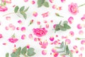 Floral pattern with pink roses, petals and eucalyptus branches on white background. Flat lay Royalty Free Stock Photo