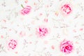 Floral pattern of pink roses, wild flowers and petals on white background. Valentines day. Flat lay, Top view. Royalty Free Stock Photo