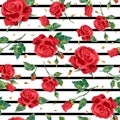 Floral pattern with red rose and black lines on white background. Vector seamless pattern with oil or acrylic painting roses Royalty Free Stock Photo