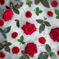 Floral pattern of red roses and chrysanthemums flowers with leaves on dark background. Flat lay, top view. Royalty Free Stock Photo