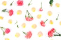 Floral pattern of red roses flowers and orange petals on white background. Flat lay, top view. Royalty Free Stock Photo