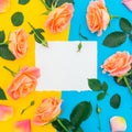 Floral pattern with rose flowers and leaves on yellow and blue background. Flat lay, top view. Flower background with paper card Royalty Free Stock Photo