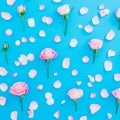 Floral pattern of roses buds and petals on blue background. Flat lay, Top view. Pink roses flowers texture. Valentines day Royalty Free Stock Photo