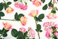 Floral pattern with roses flowers, buds and green leaves on white background. Flat lay, top view. Summer background Royalty Free Stock Photo