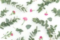 Floral pattern with roses flowers and eucalyptus on white background. Flat lay Royalty Free Stock Photo