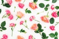 Floral pattern of roses flowers, petals and leaves isolated on white background. Flat lay, top view. Royalty Free Stock Photo