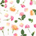 Floral pattern with roses flowers and petals on white background. Flat lay Royalty Free Stock Photo