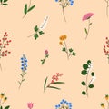 Floral pattern, seamless botanical background. Field and meadow flowers, repeating print. Wild blooming plants, endless Royalty Free Stock Photo