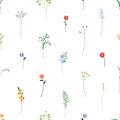 Floral pattern, seamless print. Endless texture, flower branches, tiny stems. Botanical garden background. Repeatable