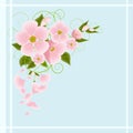 Floral pattern spring background Royalty Free Stock Photo