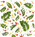Floral pattern texture with leaves, buds and flowers isolated