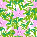 Floral pattern with tropical big pink lily flowers