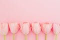 Floral pattern with tulips flowers on pink pastel background. Flat lay, top view. Spring time background. Royalty Free Stock Photo