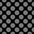 Flower pattern.black and white Seamless floral pattern, geometric texture Royalty Free Stock Photo