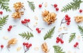 Floral pattern of viburnum red fruits, hops, green thuja leaves on white background, autumn flat lay Royalty Free Stock Photo