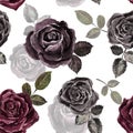 Floral pattern in vintage style. Watercolor red, burgundy, black roses and foliage on white background. Retro print Royalty Free Stock Photo