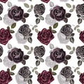 Vintage Style Floral Seamless Pattern With Watercolor Burgundy And Black Dark Roses And Leaves On White Background.
