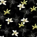 Floral pattern of white flowers on a dark background. Seamless vector illustration of vanilla, orchid for fabric, tile, paper Royalty Free Stock Photo