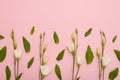 Floral pattern of white lisianthus with copyspace