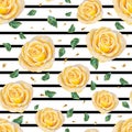 Floral pattern with yellow rose and black lines on white background. Vector seamless pattern with roses Royalty Free Stock Photo