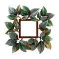 Floral photo frame Royalty Free Stock Photo