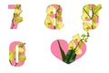 Floral pink numbers 7 8 9 0 and heart with orchid Royalty Free Stock Photo