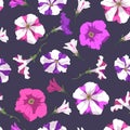 Floral pink and striped petunia background. Seamless pattern