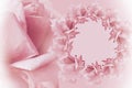 Floral pink-white beautiful background. Flower composition. Frame of pink flowers roses on light pink background. Rose cl Royalty Free Stock Photo