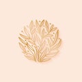 Floral plant logo design. Outline emblem brances and leaves in a circle in linear style. Vector golden abstract badge Royalty Free Stock Photo