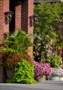 Floral planters with palm, coleus, sweet potato vine, canna lily, mandevilla, and petunia.