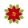 Floral poinsettia icon flat isolated vector