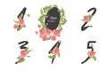 Floral poppy collection numbers in vintage color.