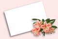 Floral postcard background with clipping path Royalty Free Stock Photo