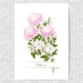 Floral posters, banners, greeting card - peonies, lilies
