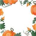 Floral Pumpkin Background and Border Vector