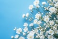 Floral purity Babys breath flowers grace a tranquil blue background